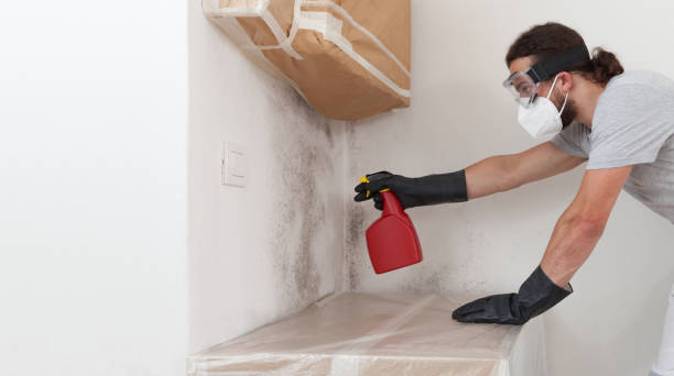 Professional Commercial Mold Remediation technician working in Clinton, IL