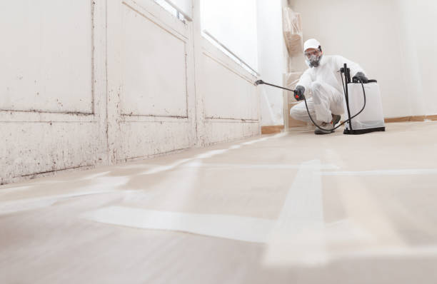 24/7 Emergency Commercial Mold Remediation experts in Clinton, IL