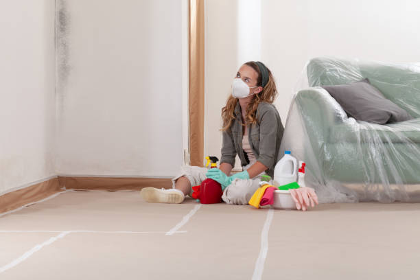 Reliable Commercial Mold Remediation contractor in Clinton, IL by 24 Hour Mold Removal